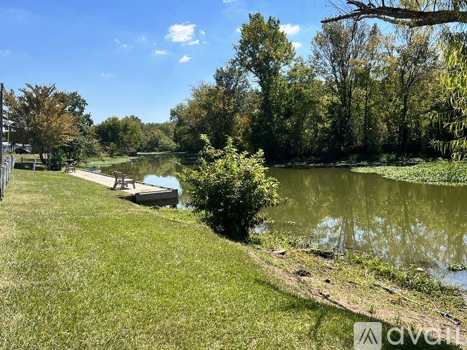 A serene park with a pond, trees, and a wooden dock.