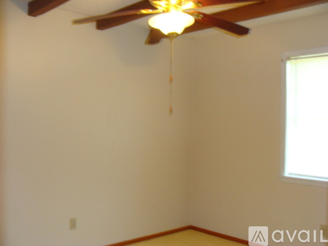 A ceiling fan with a light hanging from the ceiling in a room.