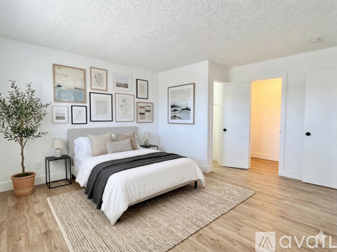 A bedroom with a bed, a potted plant, and pictures on the wall.