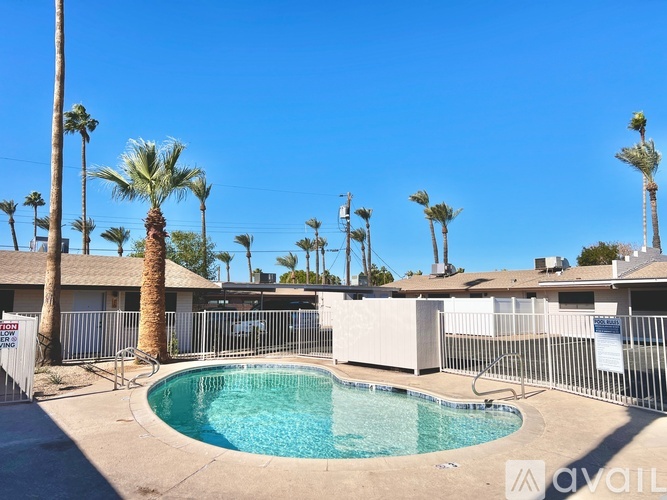 A pool surrounded by palm trees and a fence.