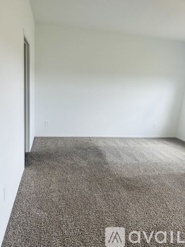 A carpeted room with a white wall and a door.