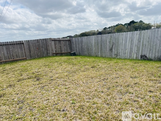 A backyard with a wooden fence and grass.