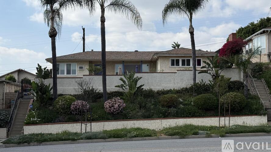 A house with a white fence and a palm tree in front.