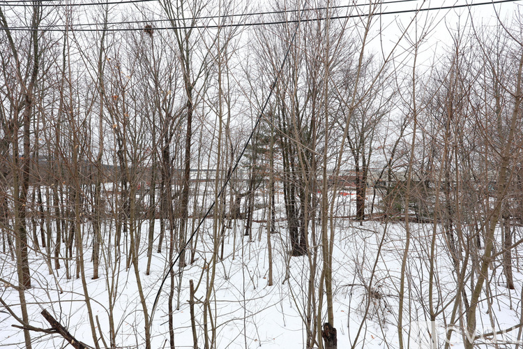A snowy field with leafless trees and a power line overhead.