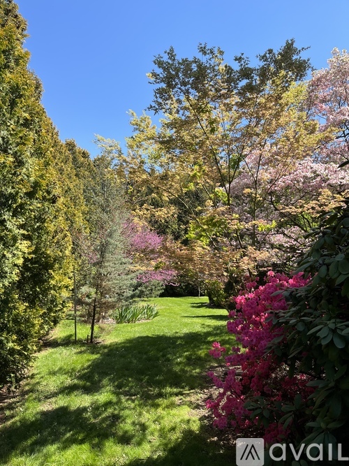 A garden with green grass and trees.