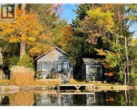 A house is surrounded by trees with autumn leaves.