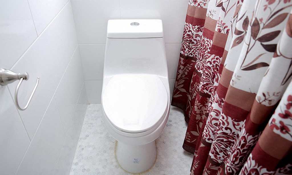 a bathroom with a toilet and a shower curtain