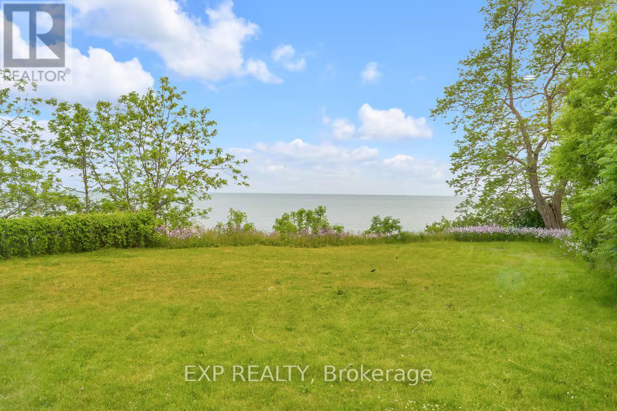 A lush green field with trees and a body of water in the distance.