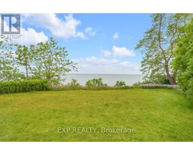 A lush green field with trees and a body of water in the distance.