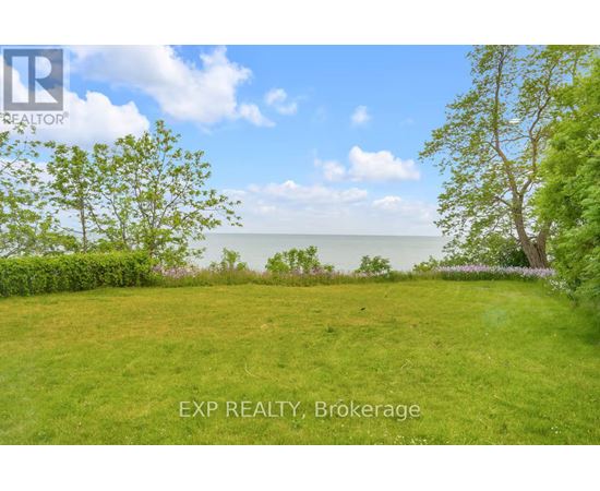 A lush green field with trees and a body of water in the distance.