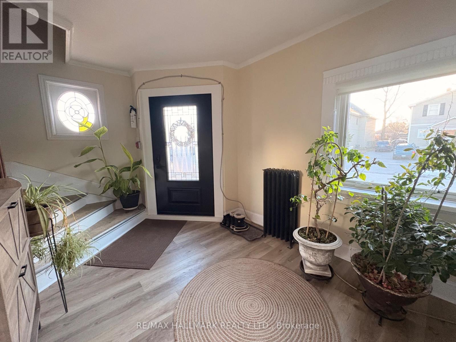 A sunny room with a rug, potted plants, and a door.