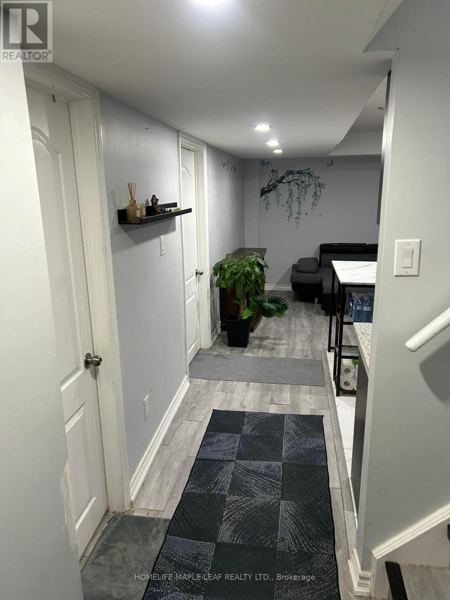 A hallway with a rug and a potted plant.