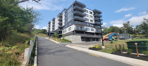 A modern apartment building is situated on a tree-lined street.