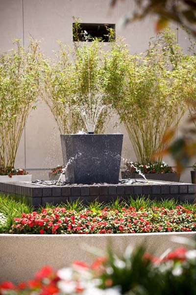a water fountain in the middle of a garden