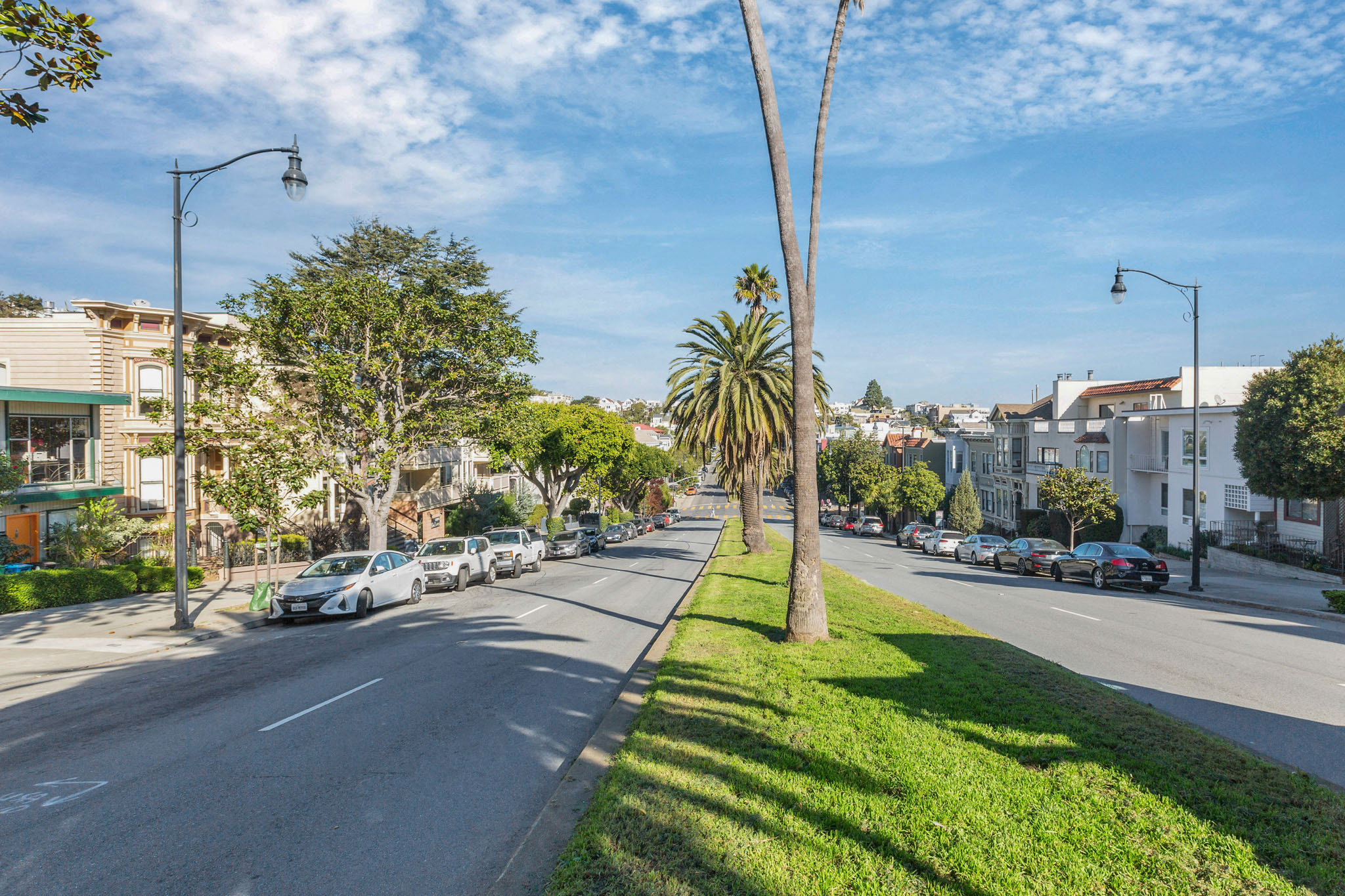 A tree in the middle of a street with cars parked on the side.