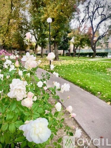 A pathway is lined with white and pink flowers.