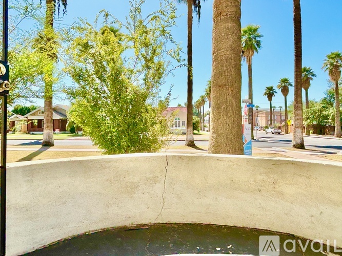 A concrete pool surrounded by palm trees and a clear blue sky.