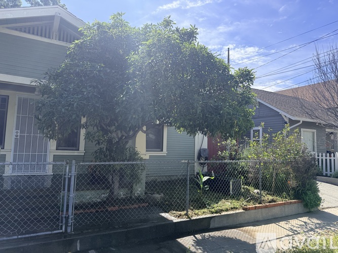 A tree in front of a house with a fence around it.