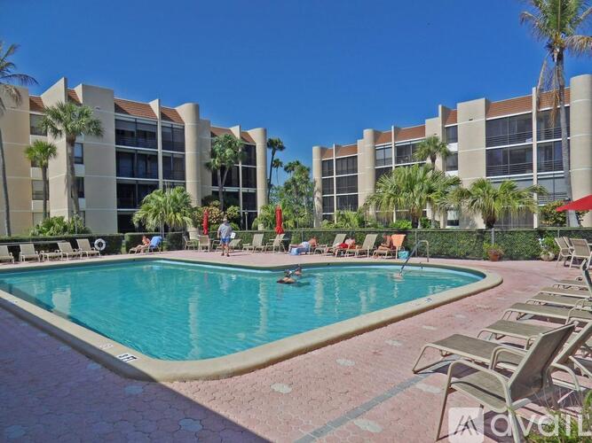 A pool area with lounge chairs and palm trees.