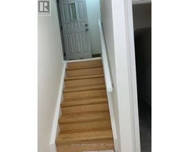 A set of stairs leading to a door.