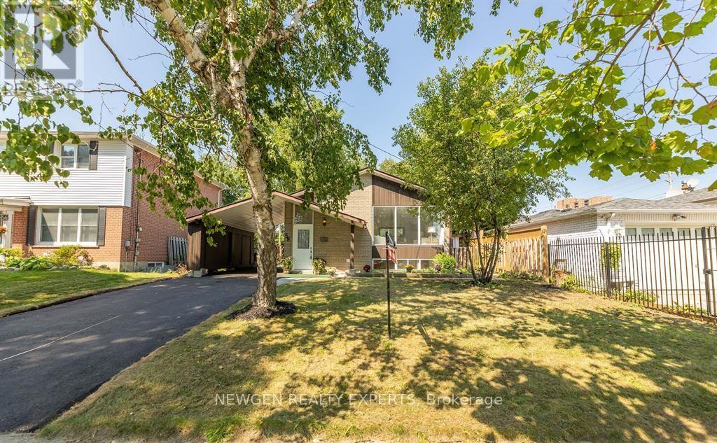 A tree stands in front of a house with a driveway.