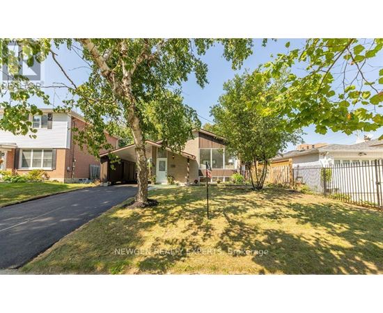A tree stands in front of a house with a driveway.