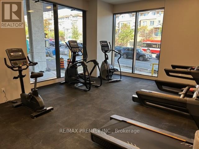 A gym with treadmills, elliptical machines, and stationary bikes.