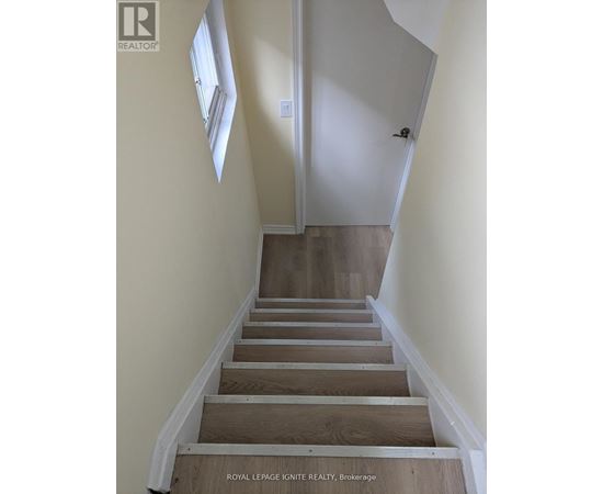 A staircase with wooden steps and white walls.