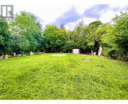 A lush green field with trees and a white box in the middle.