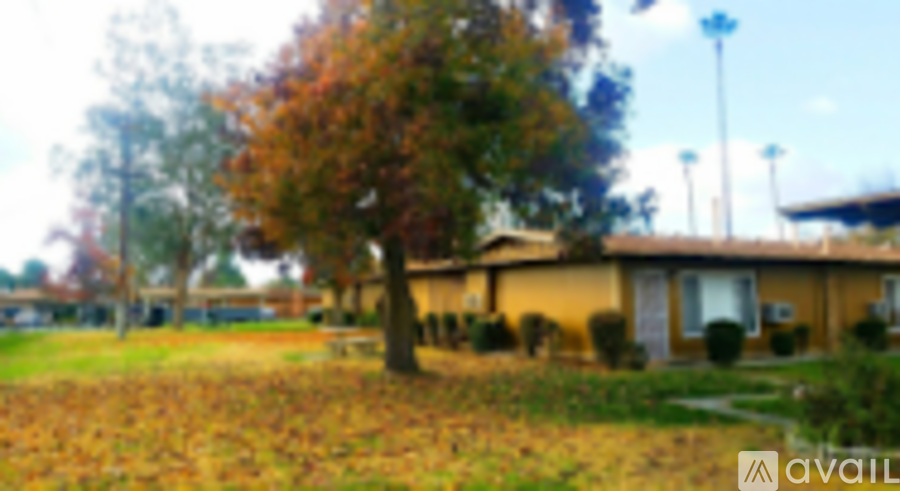 A house with a tree in front of it.