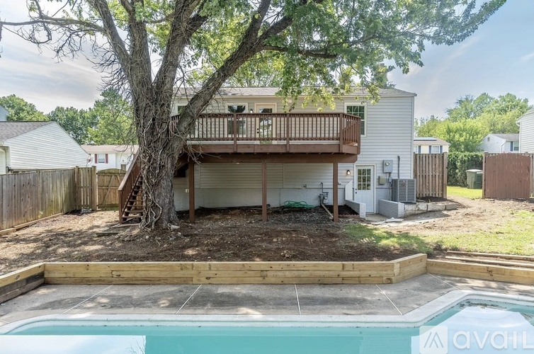 A tree in a backyard with a pool and a house in the background.