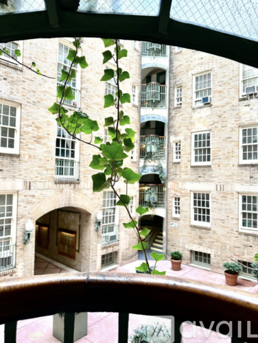 A tree branch with green leaves hangs from a metal structure in front of a building with many windows.