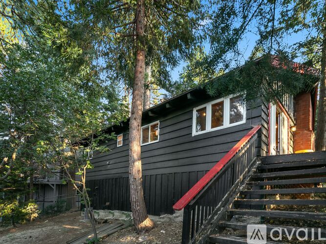 A house with a black exterior and a red staircase is surrounded by trees.