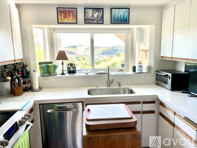 A kitchen with a stainless steel dishwasher and a window overlooking a green landscape.