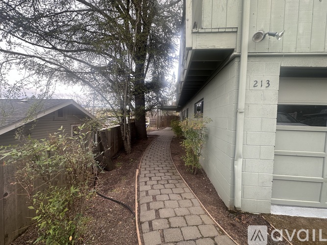 A narrow alley with a brick pathway and a building with the number 213 on it.