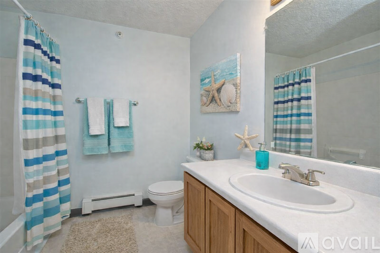 A bathroom with a white toilet, a sink, and a shower curtain.