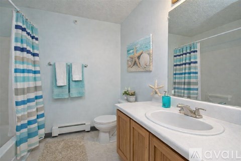 A bathroom with a white toilet, a sink, and a shower curtain.
