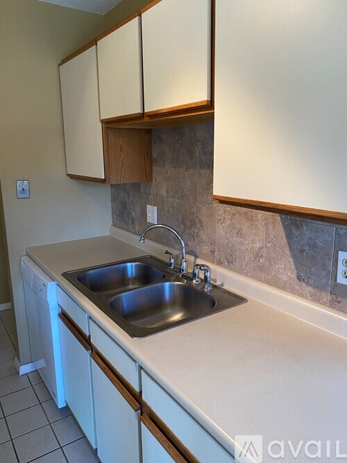 A kitchen with a sink and cabinets.