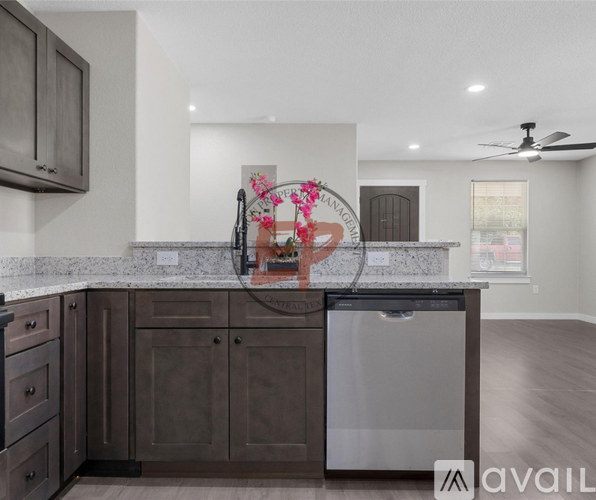 A modern kitchen with dark brown cabinets and a stainless steel dishwasher.