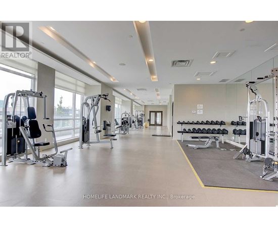 A gym with a variety of equipment including weights and cardio machines.