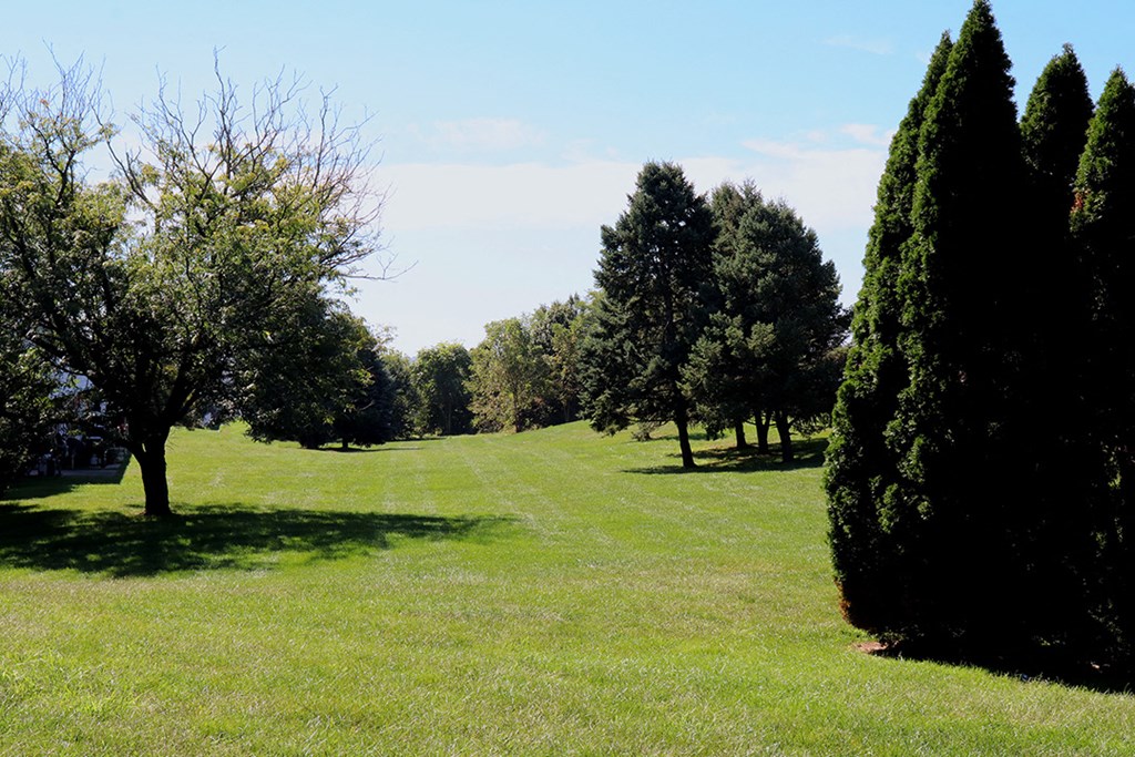 a grassy field with trees and a blue sky