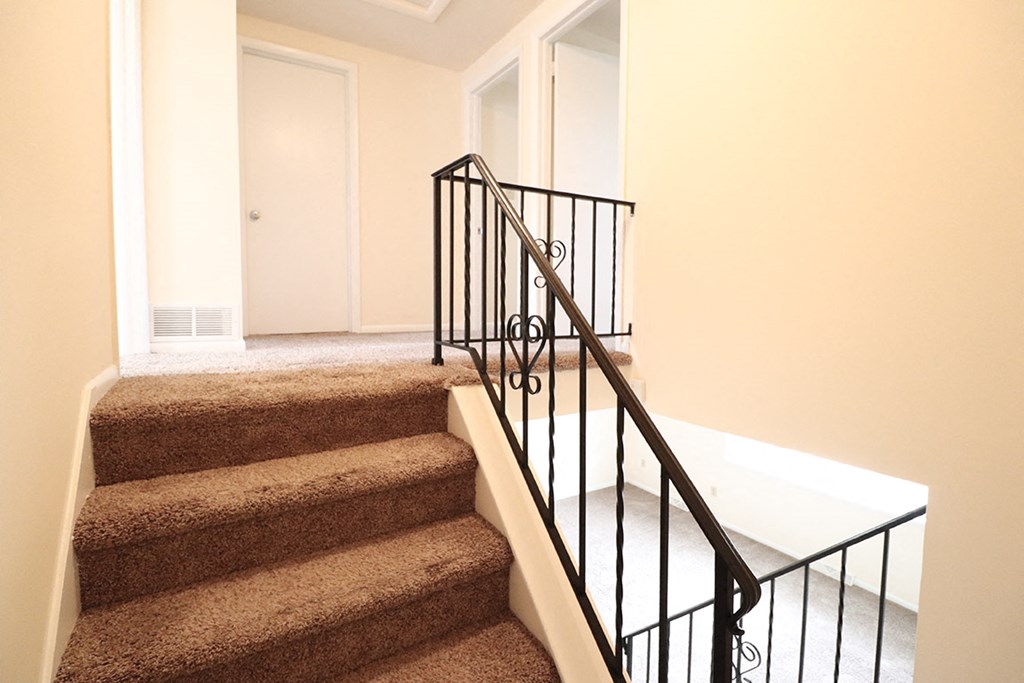 a view down the stairs of a home with carpeted stairs