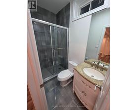 A bathroom with a walk-in shower, toilet, and sink.