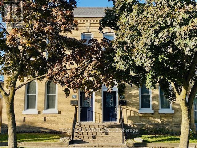 A tree with green leaves is in front of a building with a dark blue door.