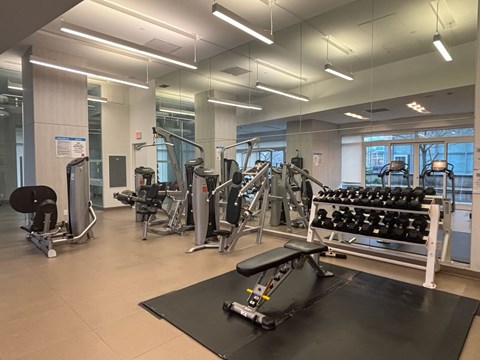 A gym with a variety of equipment including weights and a treadmill.