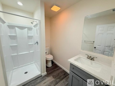 A bathroom with a walk-in shower, toilet, and sink.