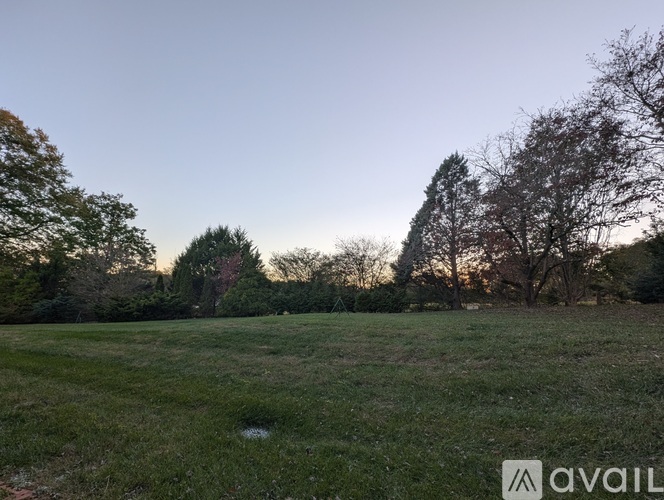 A grassy field with trees and a clear sky.