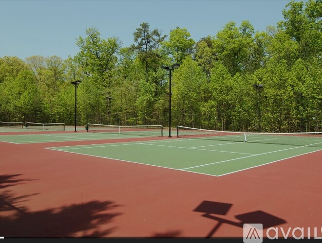 A tennis court surrounded by trees and with shadows cast on the court.