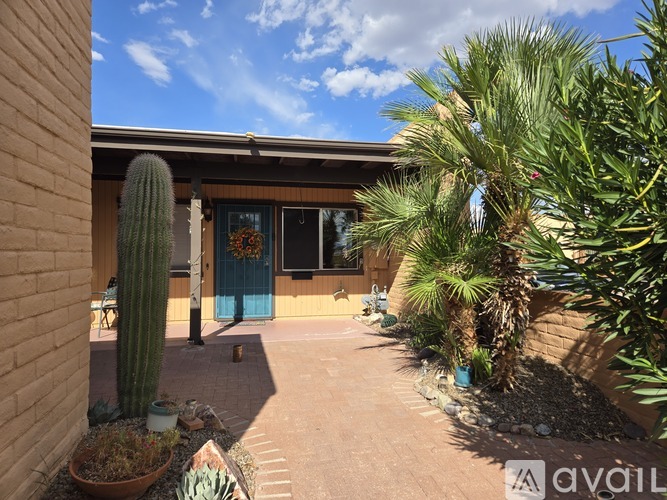 A house with a blue door and a cactus in front.