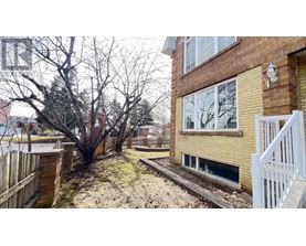 A small tree is in front of a brick building.